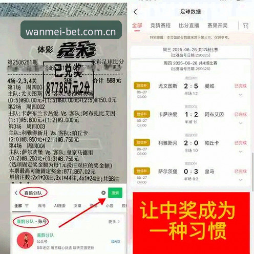 完美体育官网入口深度解析：安全检查机制与用户体验全面分析