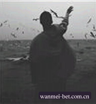 王思琪